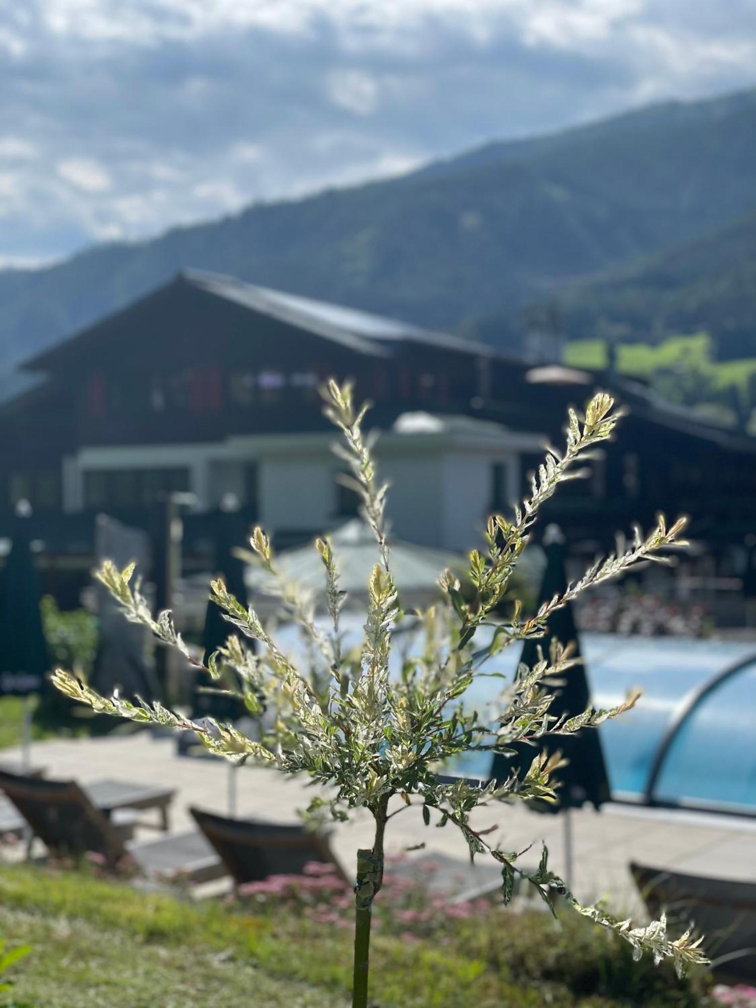 Hotel Senningerbraeu Bramberg am Wildkogel Exteriér fotografie